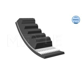 Keilrippenriemen 050 008 1226 für DAF