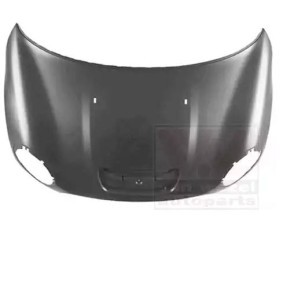 Achetez des Capot VAN WEZEL 0506670 à prix pour 366,95 €