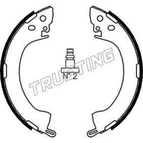Bremsbackensatz von TRUSTING