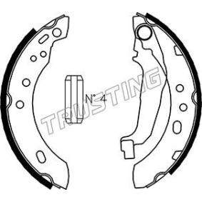 Achetez des Jeu de mâchoires de frein TRUSTING 067.185 à prix pour 68,68 €