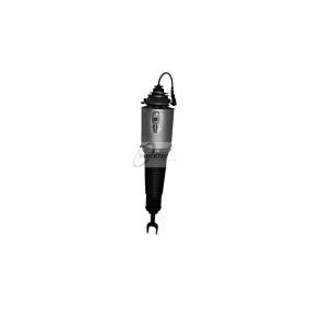 Acquista Ammortizzatore pneumatico da TRUCKTEC AUTOMOTIVE 07.30.049 a buon mercato per soli 685,51 €