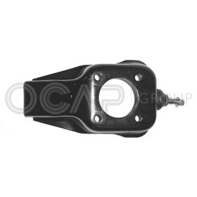 Compre Braço de suspensão da OCAP 0700278 a um preço baixo por 21,85 €