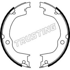Comprar Zapata de freno de mano de TRUSTING 073.175 a bajo precio de 80,64 €