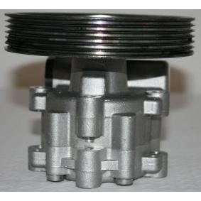 Servopumpe 07B1028 von SERCORE günstig für 156,31 € online kaufen