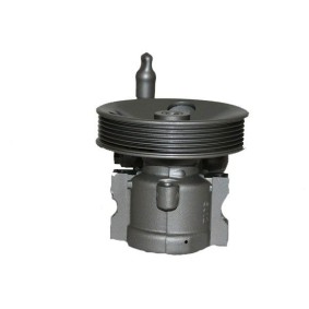 Servopumpe für CHEVROLET von SERCORE