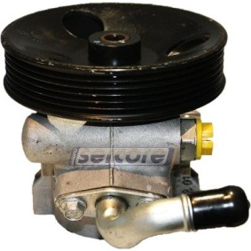 Servopumpe für CHEVROLET von SERCORE