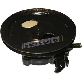 Achetez des Pompe de direction assistée de chez SERCORE en ligne pour PAJERO II Canvas Top (V2_W, V4_W) à prix modérés