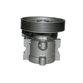 Servopumpe für PEUGEOT von SERCORE