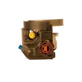 Servopumpe 07B495DC von SERCORE günstig für 178,26 € online kaufen