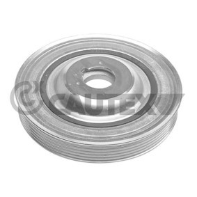 Achetez des Poulie damper (vilebrequin) CAUTEX 081244 à prix pour 126,87 €