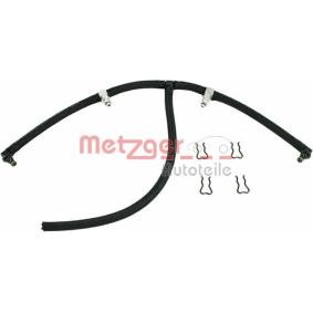 Achetez des Rampe d'injection de chez METZGER en ligne pour Ducato II Camion plate-forme/Châssis (230) à prix modérés