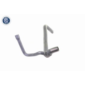 Achetez des Bouchon de liquide de refroidissement VAICO V24-0221 à prix pour 12,05 €