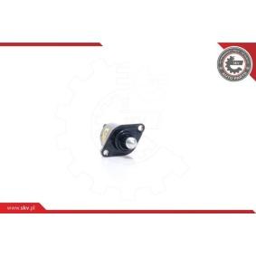 Acquista Regolatore minimo da ESEN SKV 08SKV038 a buon mercato per soli 19,62 €