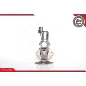 Leerlaufregler 08SKV234 FORD TOURNEO CONNECT von ESEN SKV