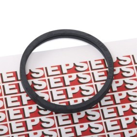 Comprar Junta, termostato de EPS 1.890.553 a bajo precio de 3,72 €