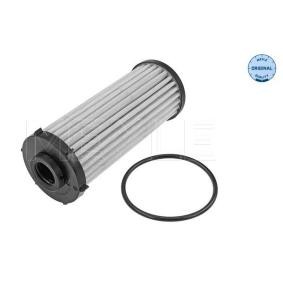 Hydraulikfilter, Automatikgetriebe 100 136 0004 für CUPRA