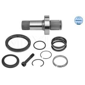 Steckwelle, Differential 100 498 0247