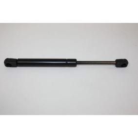 Heckklappendämpfer 100006910