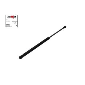 Compre Mola pneumática, capot do motor da AUTOMEGA 100016610 a um preço baixo por 10,32 €