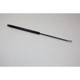 Heckklappendämpfer 100045010