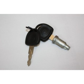 Köp Gasfjäder till baklucka av AUTOMEGA 100049310 till det låga priset 137,86 kr
