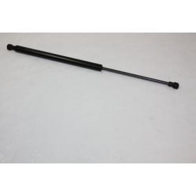 Heckklappendämpfer 100051210