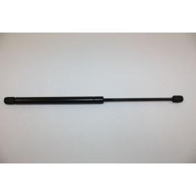Heckklappendämpfer 100053310