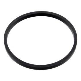Dichtung, Thermostat von FEBI BILSTEIN günstig für 2,86 €