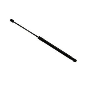 Compre Amortecedor da mala da AUTOMEGA 100081910 a um preço baixo por 11,68 €