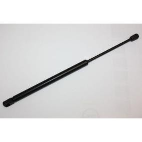 Heckklappendämpfer 100100210