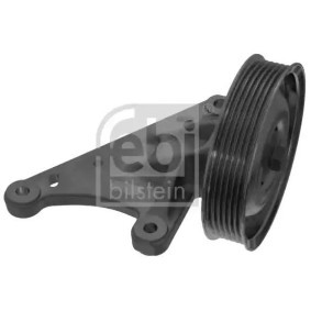Comprar Polea inversión / guía, correa poli V de FEBI BILSTEIN 100163 a bajo precio de 69,62 €