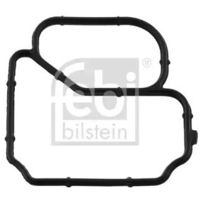 Dichtung, Thermostatgehäuse 101063 für RENAULT TRUCKS