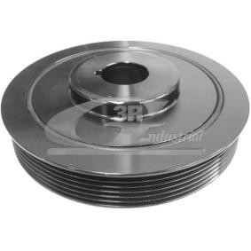 Achetez des Poulie damper (vilebrequin) 3RG 10213 à prix pour 51,54 €