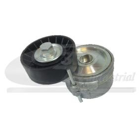 Comprar Tensor de correa poli V de 3RG 10227 a bajo precio de 52,43 €