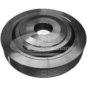 Achetez des Poulie damper (vilebrequin) 3RG 10234 à prix pour 61,69 €