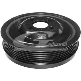 Acquista Puleggia cinghia albero a gomiti da 3RG 10309 a buon mercato per soli 56,38 €