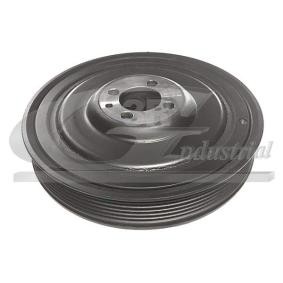 Achetez des Poulie damper (vilebrequin) 3RG 10900 à prix pour 74,85 €