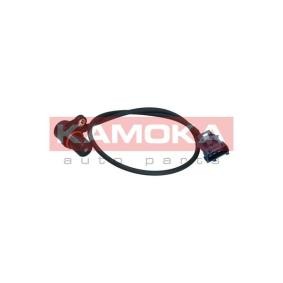 Kurbelwellensensor 109018