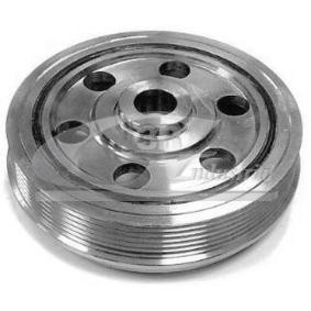 Achetez des Poulie damper (vilebrequin) 3RG 10911 à prix pour 65,56 €
