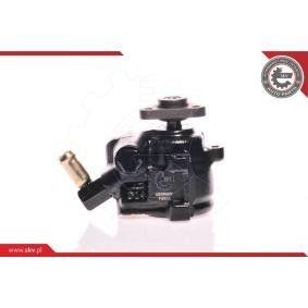 Servopumpe 10SKV175