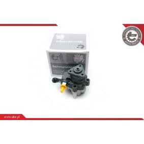 Servopumpe 10SKV191