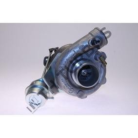 Turbolader von TURBO´S HOET für DELTA II (836) günstig online kaufen