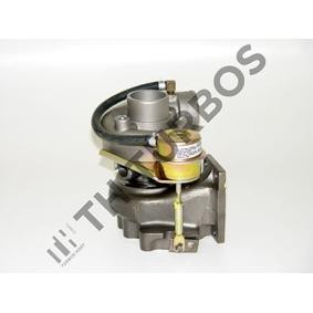 Turbolader 1100085