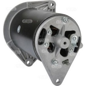 Lichtmaschine 110891