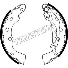 Bremsbackensatz von TRUSTING