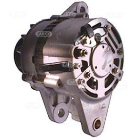 Lichtmaschine 111384