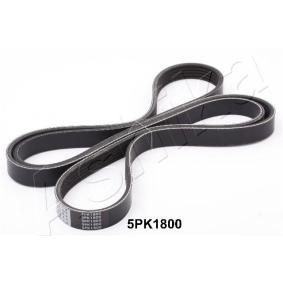 Achetez des Courroie Poly-V ASHIKA 112-5PK1800 à prix pour 20,77 €