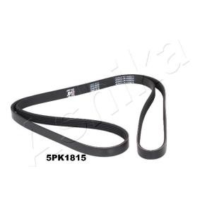 Achetez des Courroie Poly-V ASHIKA 112-5PK1815 à prix pour 17,54 €