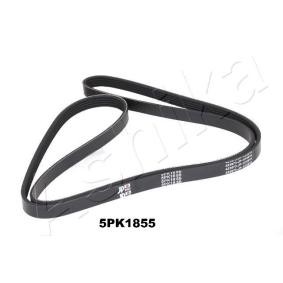 Achetez des Courroie Poly-V ASHIKA 112-5PK1855 à prix pour 17,92 €