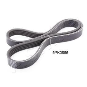 Compre Correia trapezoidal estriada da ASHIKA 112-5PK855 a um preço baixo por 9,47 €